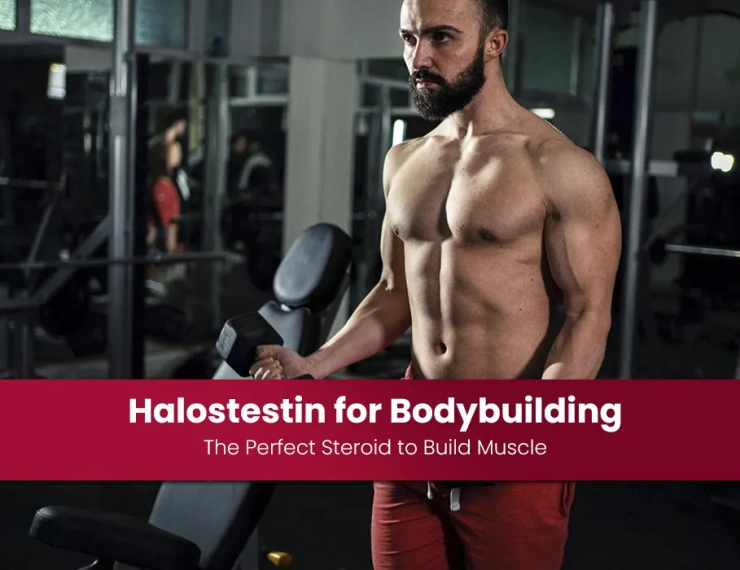 Halostestin for Bodybuilding: The Perfect Steroid to Build Muscle