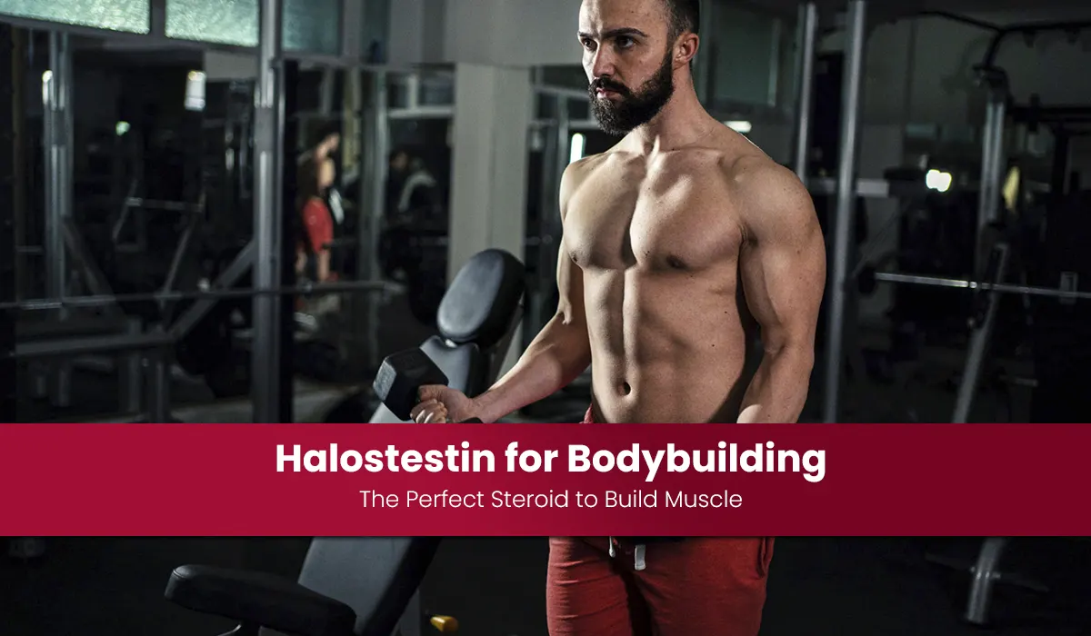 Halostestin for Bodybuilding: The Perfect Steroid to Build Muscle