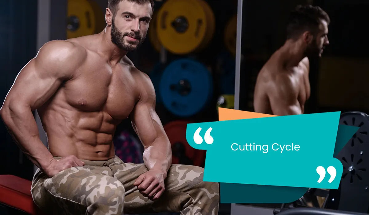 How Does a Cutting Cycle Works in Bodybuilding? 