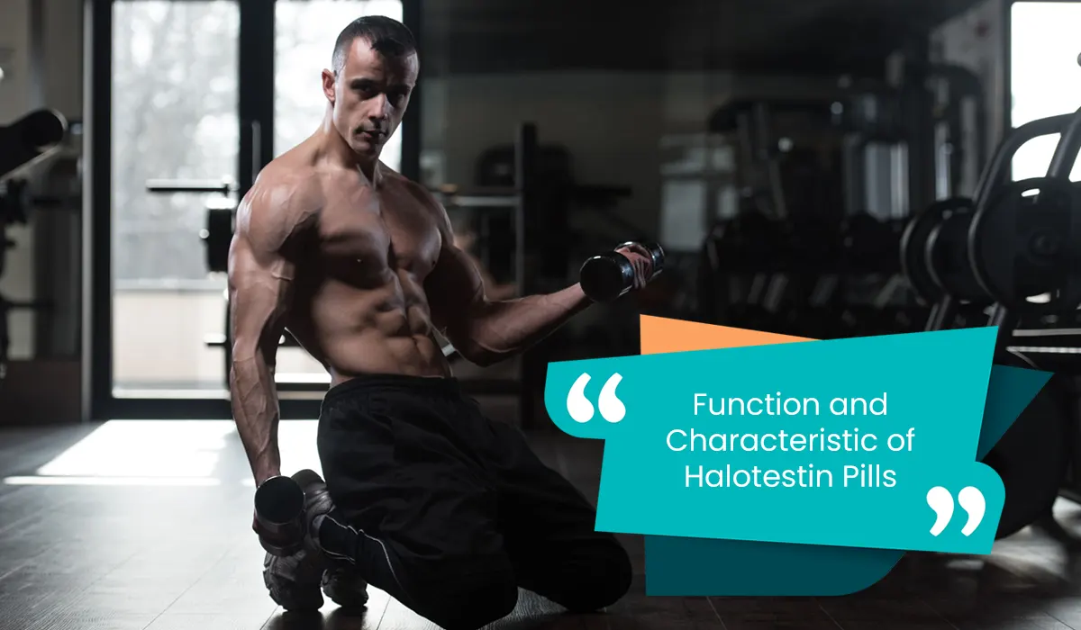 Function and Characteristic of Halotestin Pills